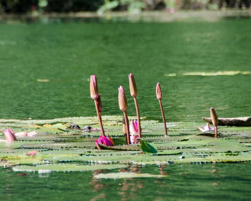 Luxury Limousine Tour: Hoa Lu, Trang An/Tam Coc & Mua Cave - How the schedule feels in practice