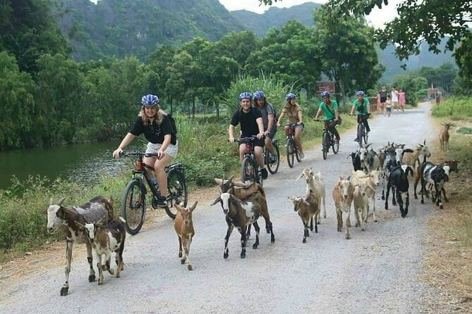 Luxury small Group Hoa Lu - Tam Coc - Mua Cave Max 6 - 8 pax/tour - Lunch, cooking, and what is actually included
