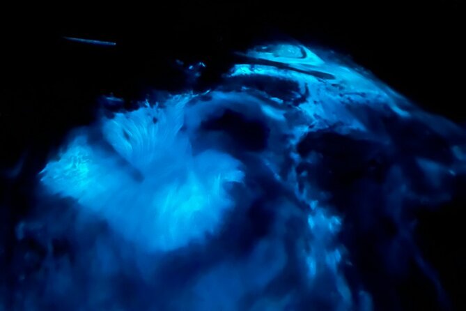 Magical Sunset and Evening with glowing plankton by Cat Ba Local - Leaving Cat Ba at 4 p.m.