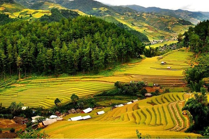 Mai Chau - Pu Luong - Ninh Binh | Optional Choices | 2, 3, 4 days - Should you book this Mai Chau and Pu Luong trip?