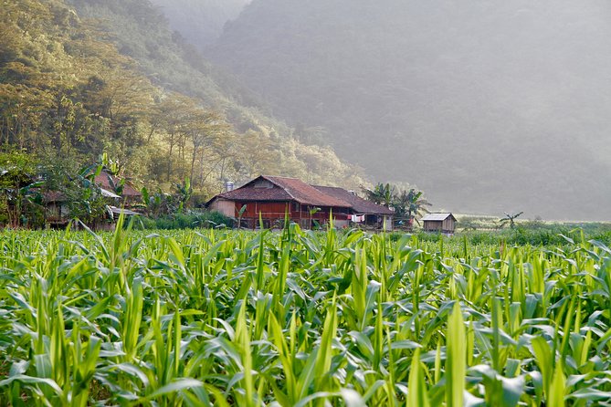 Majesty Of Untouched Northern Vietnam Tour 6 Days - Ba Be Lake, Pac Ngoi, and a four-kilometer bike route