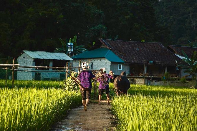 Majesty Of Untouched Northern Vietnam Tour 6 Days - Who should book this Northern Vietnam route