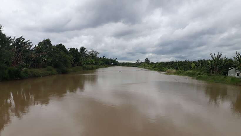 Mekong Day Tour by Car:Cai Be market, Local Island & Cycling - Walking or cycling through the village after lunch