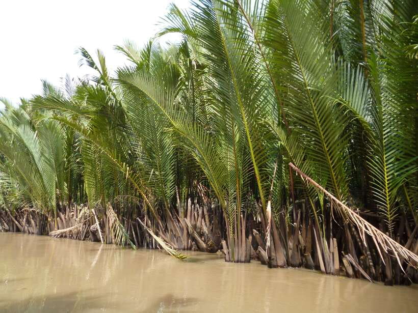 Mekong Day Tour by Car:Cai Be market, Local Island & Cycling - What the $125 price includes
