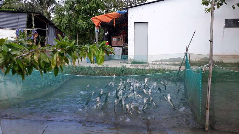 Mekong Day Tour by Car:Cai Be market, Local Island & Cycling - How the private guide affects the day
