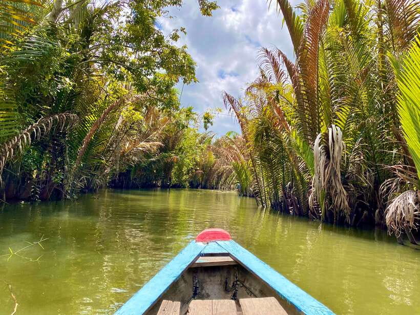 Mekong Delta 2 Days: Floating Markets & Cultural Exploration - Fruit plantation and the ride back to Ho Chi Minh City