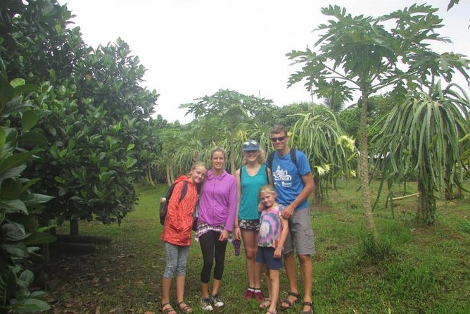 Mekong Delta and Cai Rang Floating Market 5-Hours Tour - A tropical fruit orchard after the market