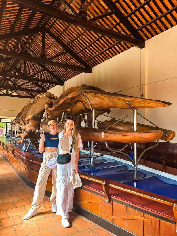 Mui Ne: Best day to Ta Cu Mountain Cable Car & Lying Buddha - How the private tour changes the day