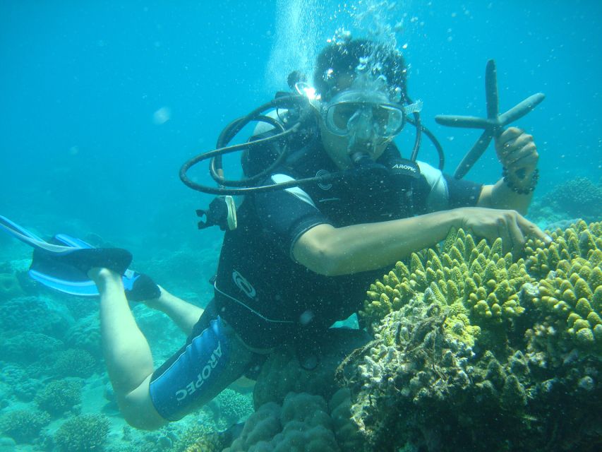 Nha Trang: Best Seller of Luxury Nha Trang Island Discovery - Guides, group style, and the personal touch