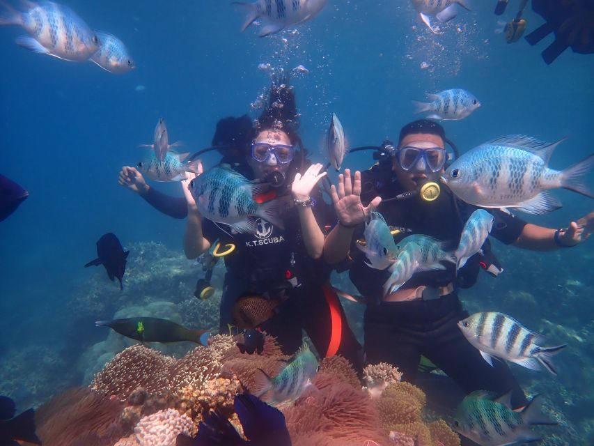 Nha Trang: Scuba Diving Experience for Non-Certified Divers - Key points to know before you book