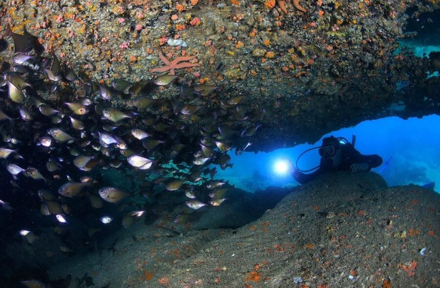 Nha Trang: Scuba Diving Experience for Non-Certified Divers - What the $54 price includes