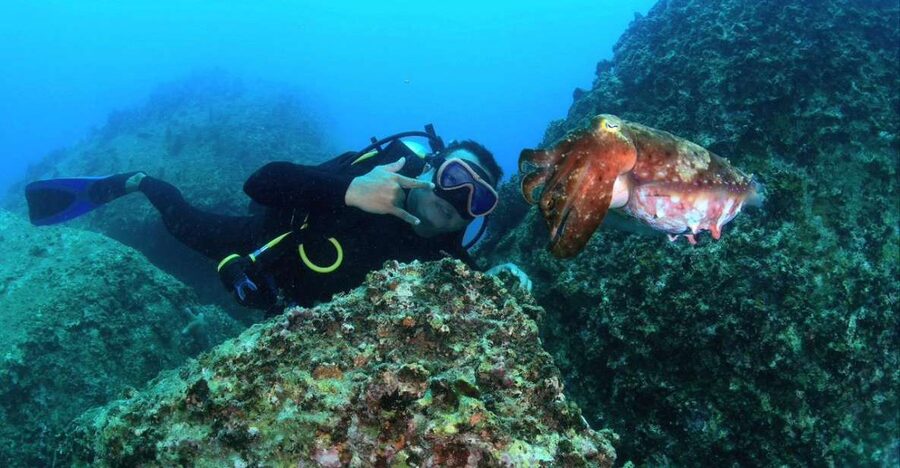 Nha Trang: Scuba Diving Experience for Non-Certified Divers - Practical ways to make the day better