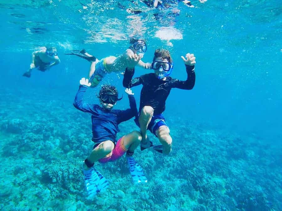 Nha Trang: Snorkeling Tour with BBQ Lunch at Coral Reef - The early hotel pickup and ride to the harbor