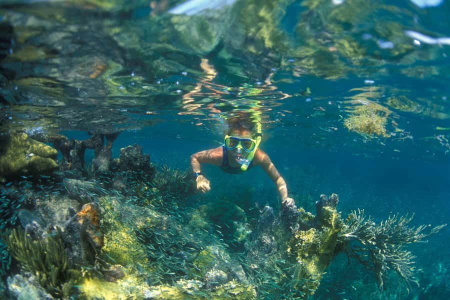 Nha Trang: Snorkeling Tour with BBQ Lunch at Coral Reef - Mun Island, crowds, and the route question