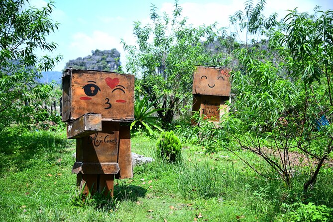 Ninh Binh 2 days 1 night Tour from Hanoi (Small Group of 9) - Cycling into Tam Coc and local farm life