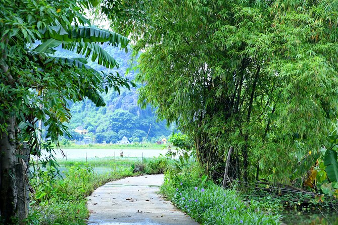 Ninh Binh 2 days 1 night Tour from Hanoi (Small Group of 9) - The pace, comfort, and drawbacks