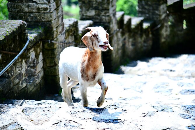 Ninh Binh 2 days 1 night Tour from Hanoi (Small Group of 9) - Who should book this Ninh Binh tour