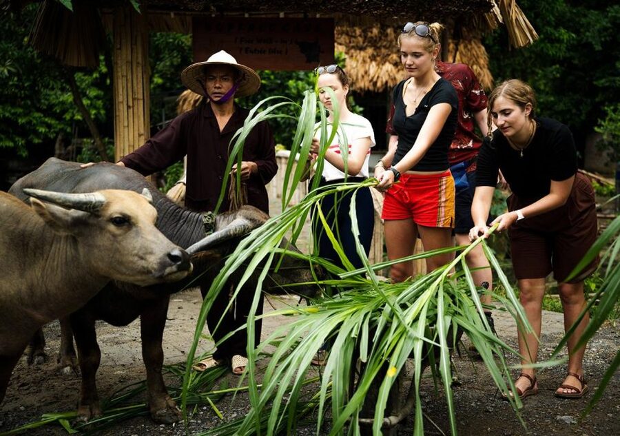 Ninh Binh cooking class at Buffalo Cave - Eating the meal you made