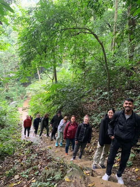 Ninh Binh: Cuc Phuong Jungle Hike & Wildlife Day Trip - The rainforest trek includes caves, limestone, and old trees
