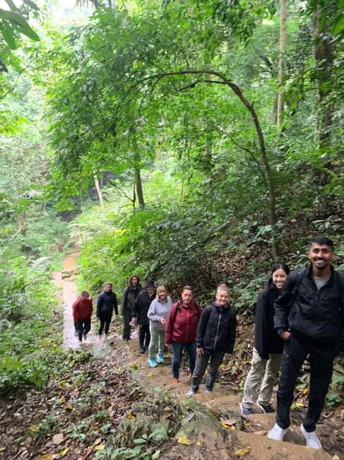 Ninh Binh: Cuc Phuong Jungle Hike & Wildlife Day Trip - Weather changes the character of the forest