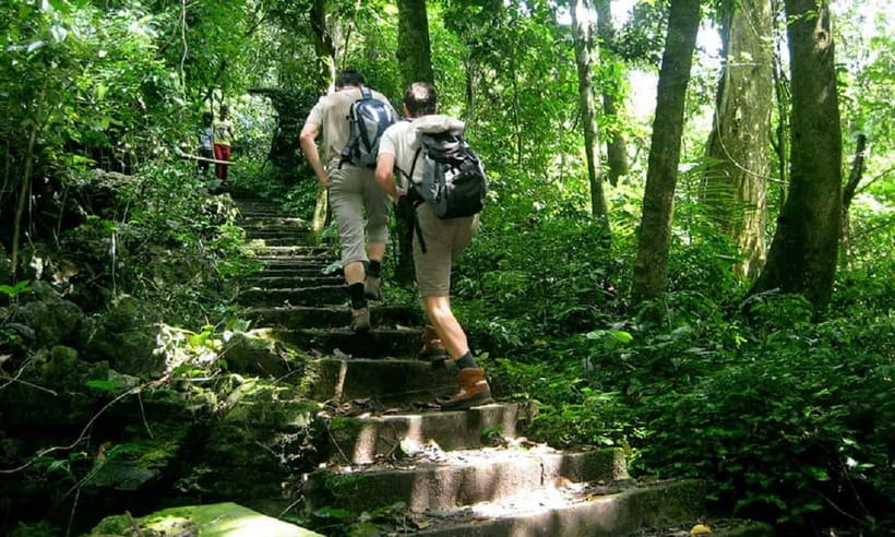 Ninh Binh : Cuc Phuong National Park One Day Group Tour - Key points to know before booking