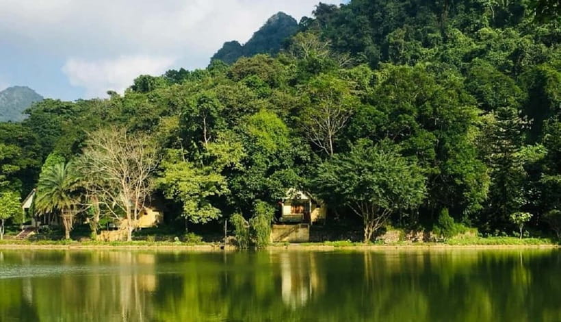 Ninh Binh : Cuc Phuong National Park One Day Group Tour - Why Cuc Phuong makes a good day from Ninh Binh