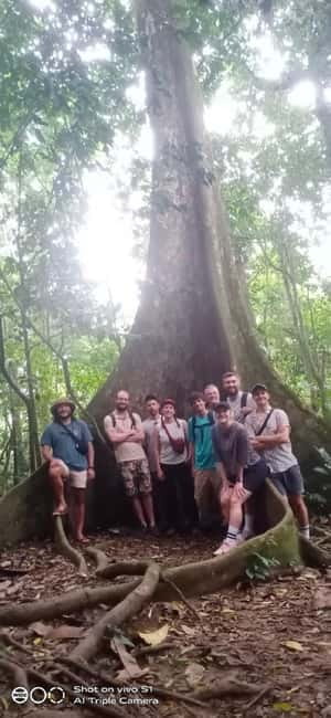 Ninh Binh : Cuc Phuong National Park One Day Group Tour - Driving into the primary forest