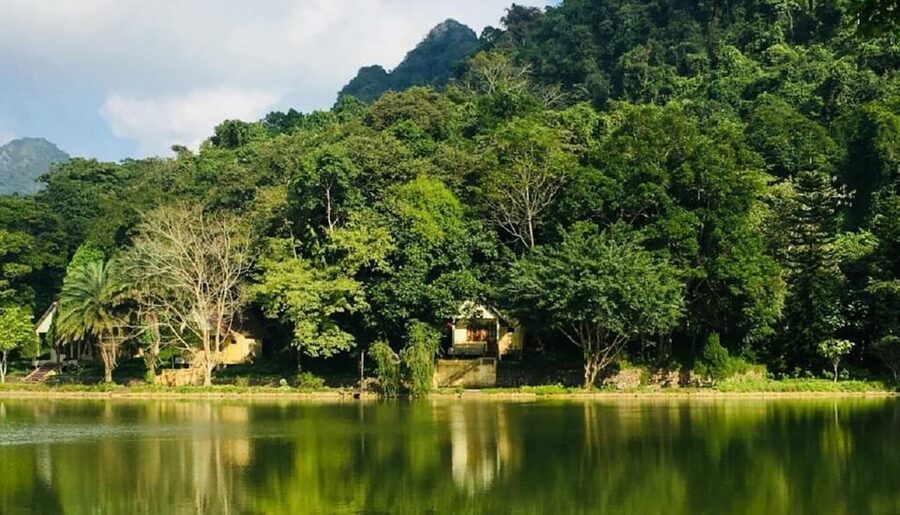 Ninh Binh : Cuc Phuong National Park One Day Group Tour - How the guides shape the day