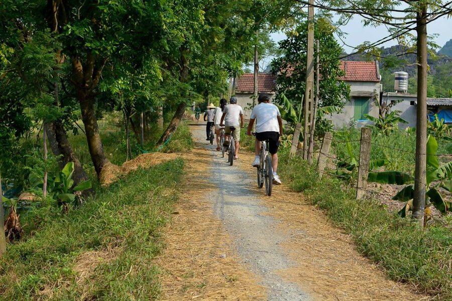 Ninh Binh Daily: Hoa Lu, Mua Cave, Tam Coc, Bike & Swimming - What the $72 price really covers