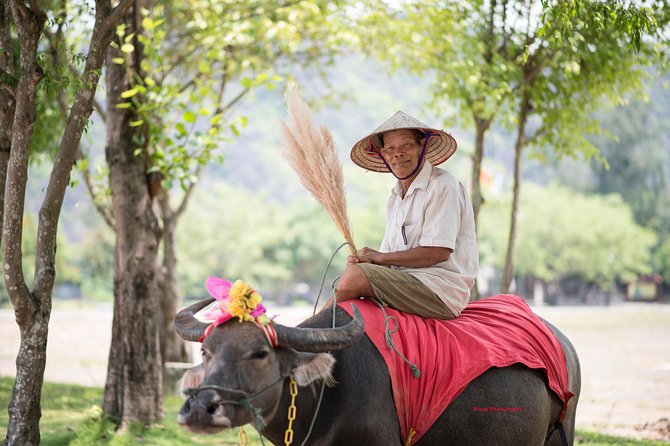 Ninh Binh Daily Tour: Hoa Lu - Tam Coc boat trip and Bike - Practical details for a smoother day