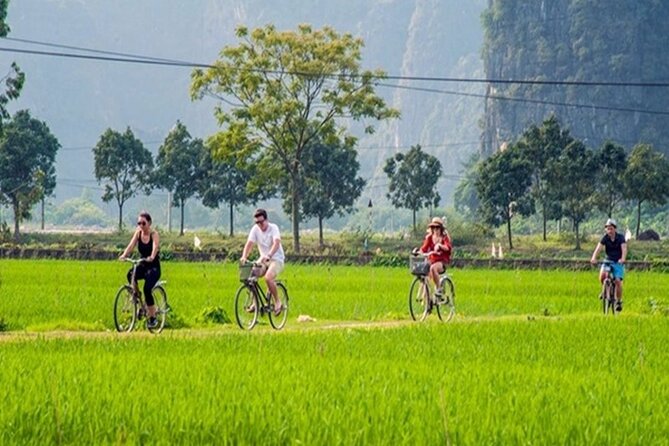 Ninh Binh Day Tour to Hoa Lu Trang An Mua Cave with Buffet Lunch - What the guide and group setup add