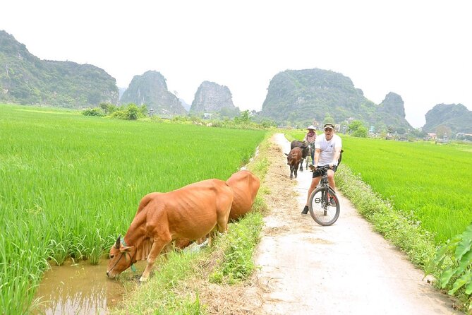 Ninh Binh Full-Day Small Group of 9 Guided Tour from Hanoi - Tam Coc by sampan