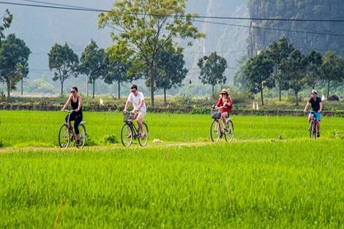 Ninh Binh Full Day Tour to Hoa Lu Tam Coc Mua Cave Buffet Lunch - Who should book this tour?