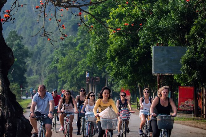 Ninh Binh Full Day Tour with Hoa Lu, Trang An and Mua Cave - Mua Cave and the 500-step climb