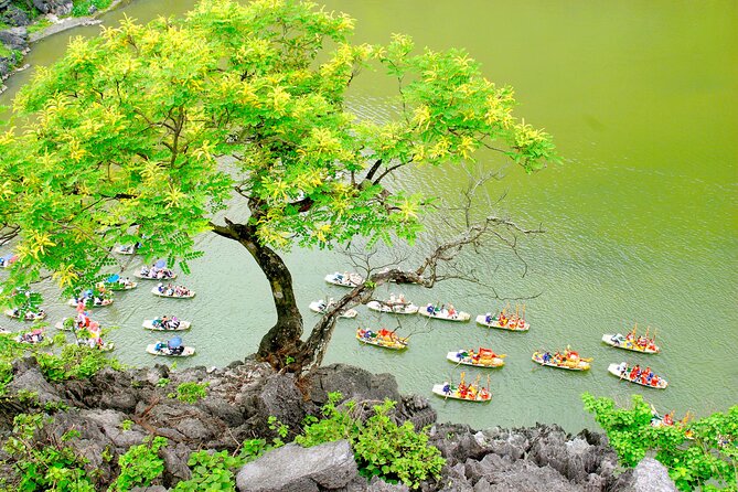 Ninh Binh Full Day Tour with Hoa Lu, Trang An and Mua Cave - Guides and group organization
