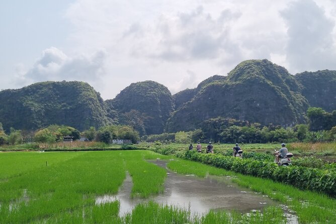 Ninh Binh HIGHTLIGHT & HIDDEN GEM Tour From Hanoi: Skip-The-Line - Bich Dong Pagoda, built into the mountain