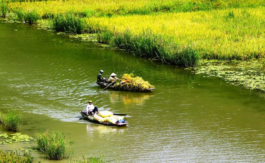 Ninh Binh: Hoa Lu, Trang An and Mua Caves Hiking Day Trip - A long day from Hanoi with a strong payoff