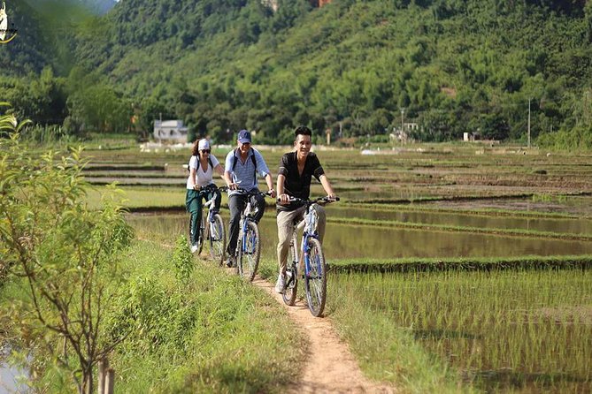 NINH BINH MEMORABLE DAY: Hoa Lu, Mua Cave, boat trip Tam Coc, Trang An optional - Lunch, transport, and the long road back