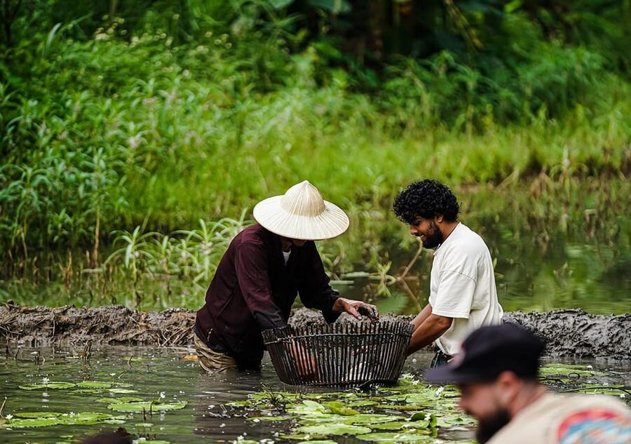 Ninh Binh: Rice planting and fishing by basket tour - A farm morning near Tam Coc, not another viewpoint