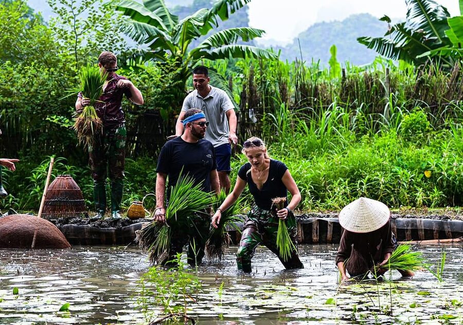 Ninh Binh: Rice planting and fishing by basket tour - Meeting the group at Buffalo Cave