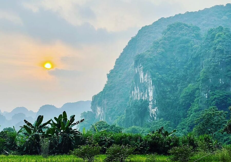 Ninh Binh: Rice planting and fishing by basket tour - Planting Vietnamese rice beside local farmers