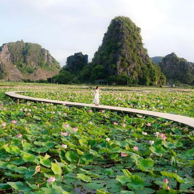 Ninh Binh Sunset Motorbike: Mua Cave, Coi Khe & Hoa Lu Town - 16:00 pickup and the ride through Tam Coc