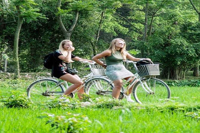 Ninh Binh Tour Hoa Lu Tam Coc Full Day: Biking,Boating,Tickets,Lunch, Limousine - Tam Coc by boat, with three caves along the river