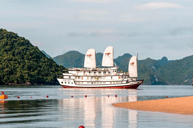 (Official) Signature Halong Cruise - 03 days 02 nights program - Day three, Tai Chi and Thien Canh Son Cave