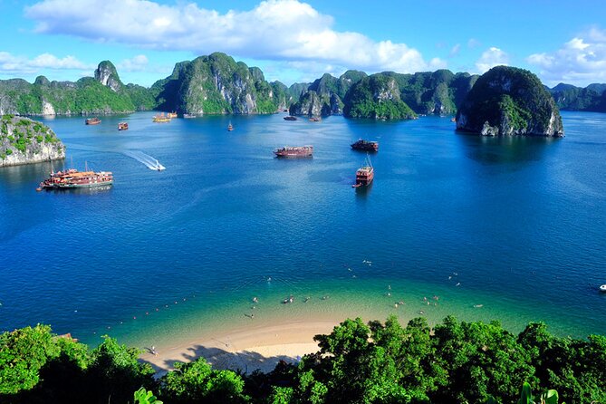 Orchid Cruises Halong Bay 2Day/1Night on 5 Star - Tai Chi at 6:00 a.m. and the second morning