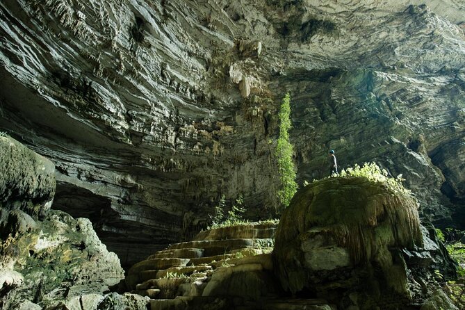 Phong Nha & Paradise Cave - 1 Day All Inclusive - Key points at a glance