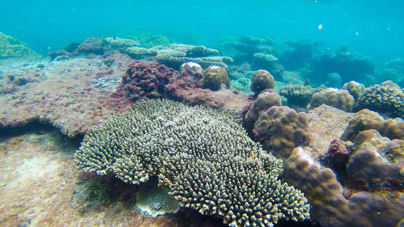 Phu Quoc: 3 Island Tour by Boat with Guide - The guides make a real difference