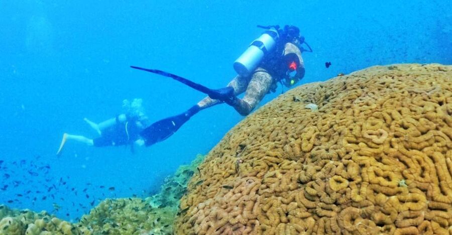 Phu Quoc: Scuba Diving Experience for All Levels - First look beneath Phu Quoc’s water