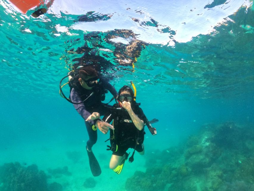Phu Quoc: Scuba Diving Experience for All Levels - Lunch on board from 11:00 to 12:00