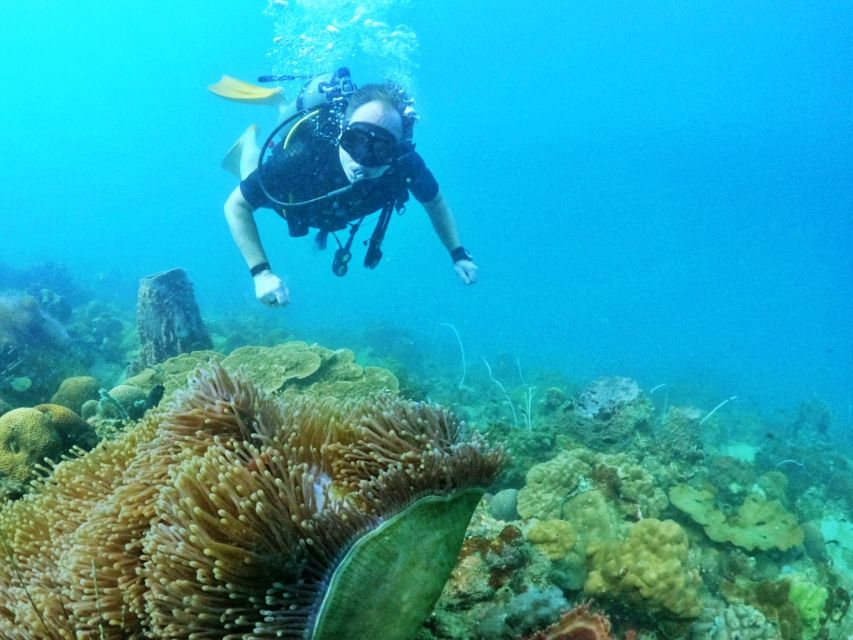 Phu Quoc: Scuba Diving Experience for All Levels - The second session and the difference for certified divers